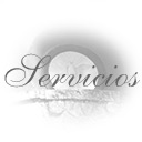 Servicios