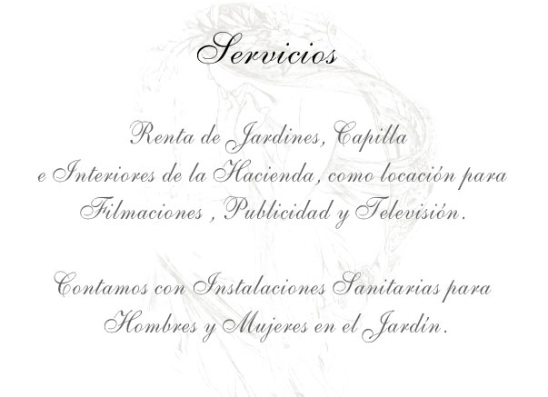 Servicios prestados